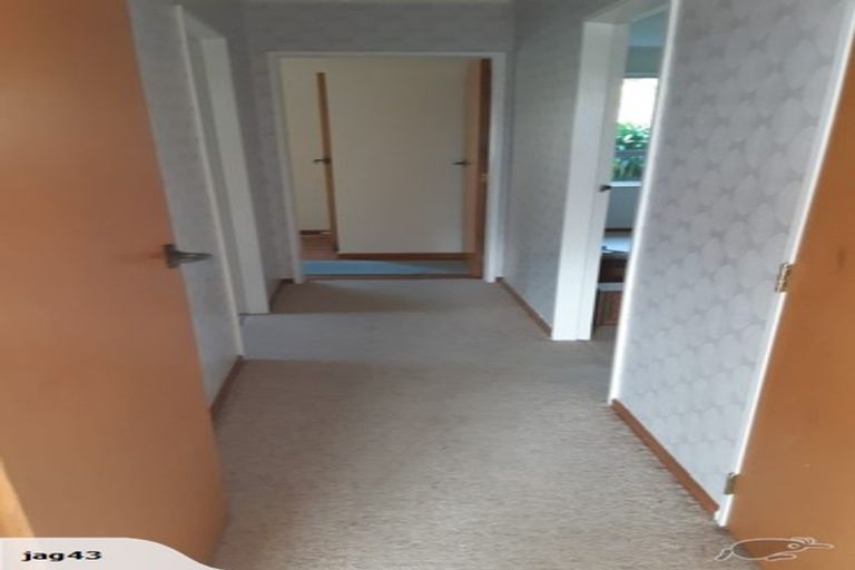 Photo of property in 56f2 Ira Street, Miramar, Wellington, 6022