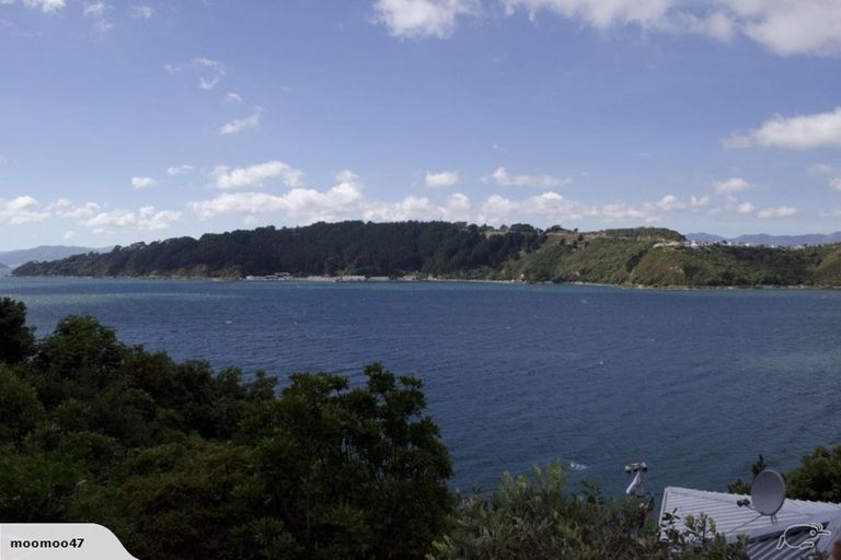 Photo of property in 194f1 Evans Bay Parade, Roseneath, Wellington, 6021