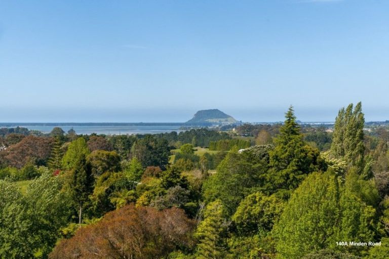 Photo of property in 140a Minden Road, Minden, Tauranga, 3176