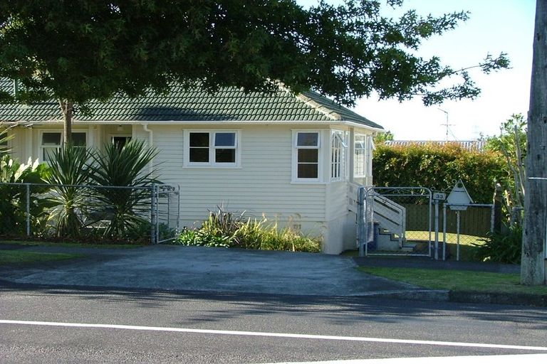 Photo of property in 33 Rimu Street, New Lynn, Auckland, 0600