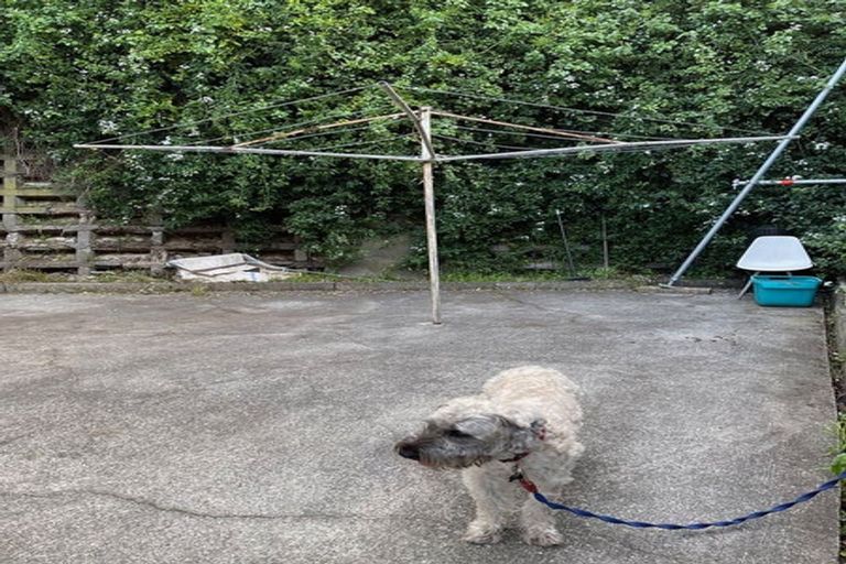 Photo of property in 462 Evans Bay Parade, Hataitai, Wellington, 6021