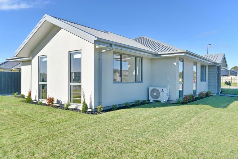 Photo of property in 1 Sills Street, Woodend, 7610