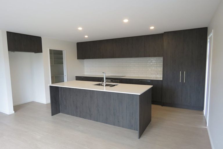 Photo of property in 100 Canon Street, St Albans, Christchurch, 8014