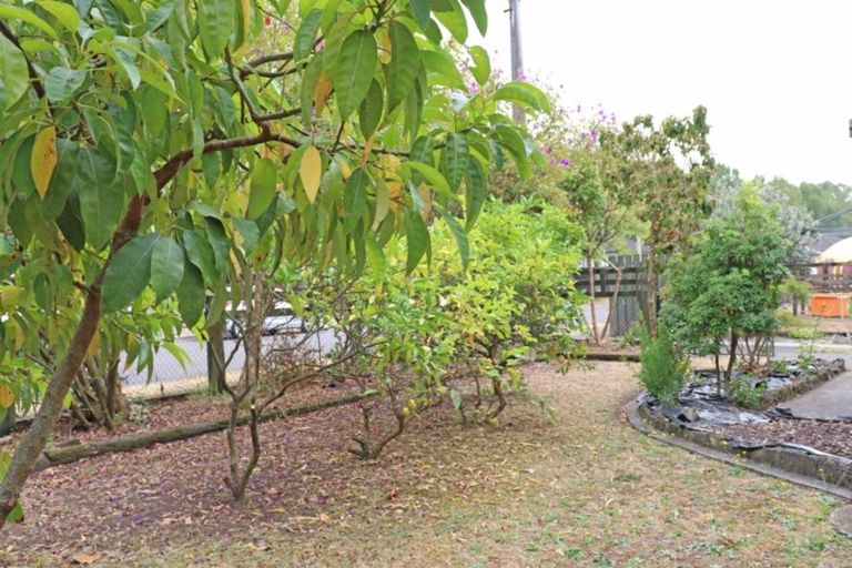 Photo of property in 25 Domett Street, Kawerau, 3127