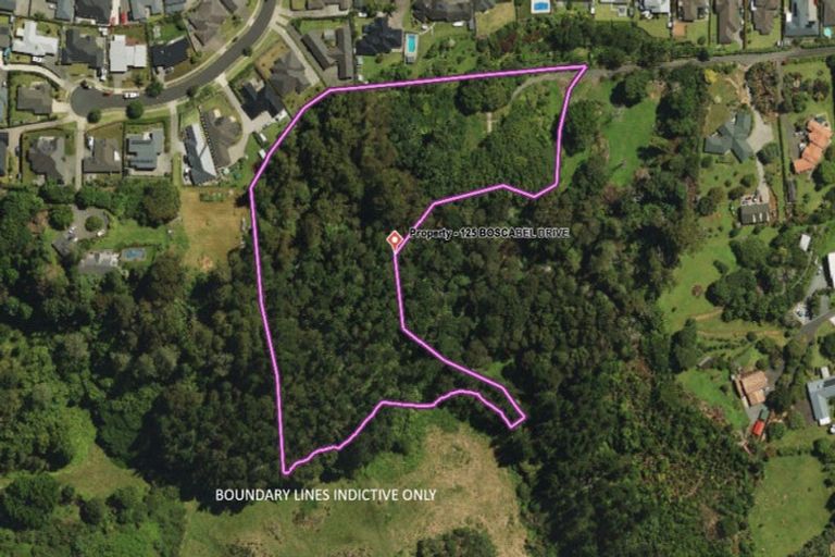 Photo of property in 125 Boscabel Drive, Ohauiti, Tauranga, 3112