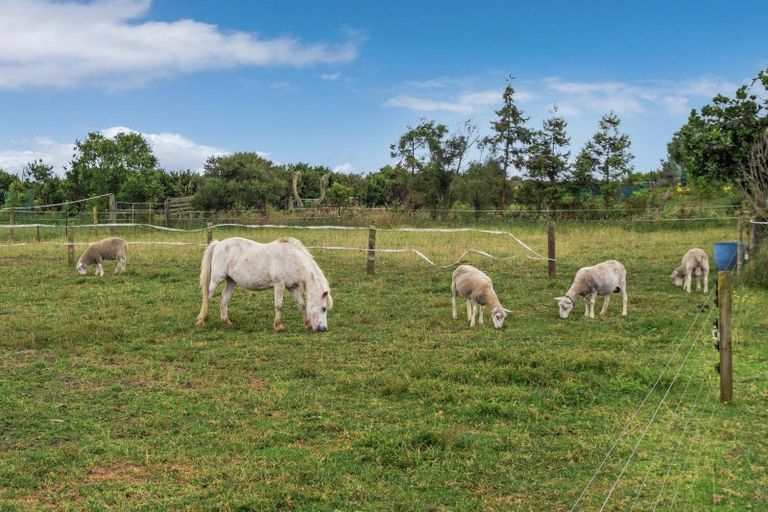 Photo of property in 95b Thornton Beach Road, Thornton, Whakatane, 3194