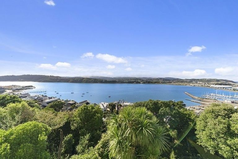 Photo of property in 43 Overtoun Terrace, Hataitai, Wellington, 6021