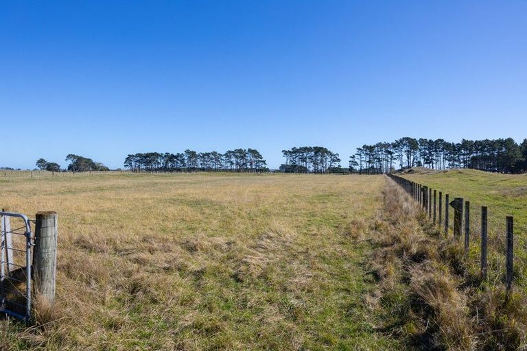 Photo of property in 177 Downs Road, Geraldine Downs, Geraldine, 7991