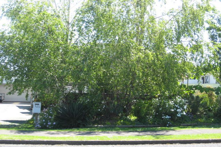 Photo of property in 925 Park Road, Te Awamutu, 3800
