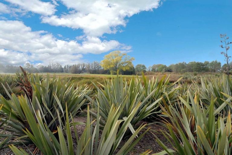Photo of property in 12 Willowby Lane, Rangiora, 7400
