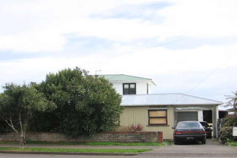 Photo of property in 81 Tiro Tiro Road, Levin, 5510