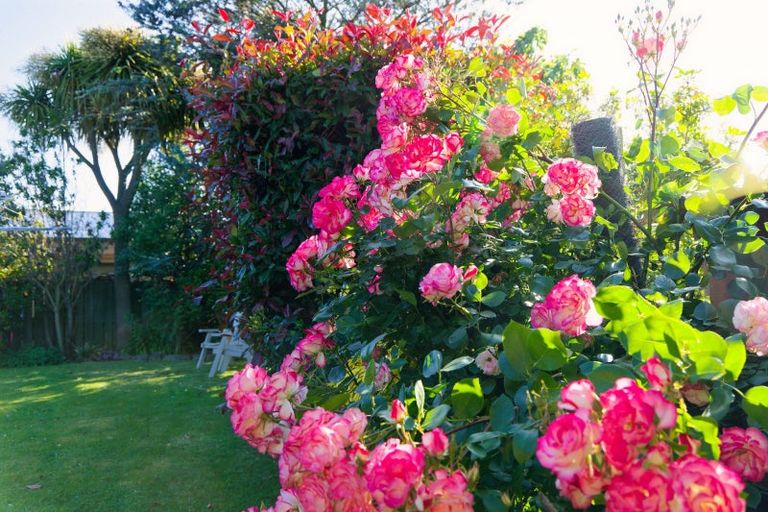 Photo of property in 283a Scarborough Street, Kaikoura, 7300