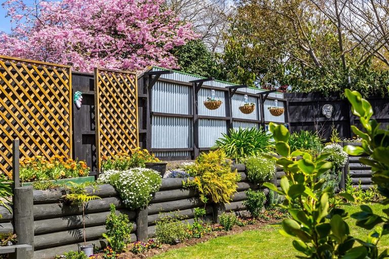 Photo of property in 19 Maclaurin Street, Dannevirke, 4930