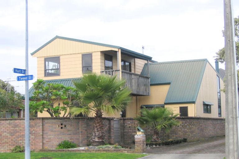 Photo of property in 26a Tweed Street, Mount Maunganui, 3116