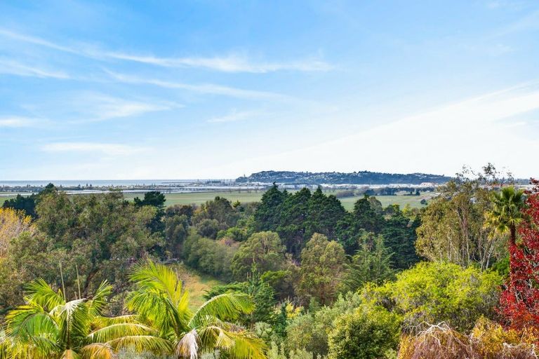 Photo of property in 79 Poraiti Road, Poraiti, Napier, 4182
