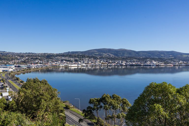 Photo of property in 20 Rewa Street, Musselburgh, Dunedin, 9013