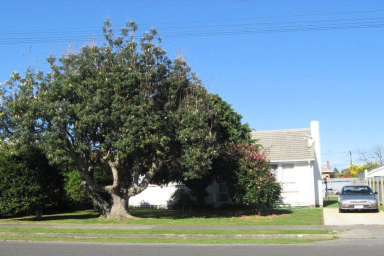 Photo of property in 34 Middlesex Street, Levin, 5510