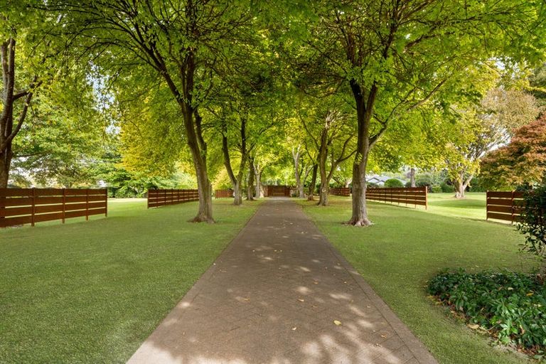 Photo of property in 59a Western Avenue, Omokoroa, 3114