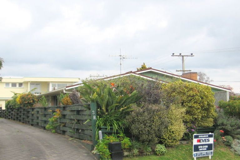 Photo of property in 3b Hinewa Road, Otumoetai, Tauranga, 3110