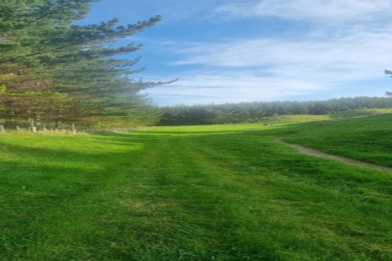 Photo of property in 2877 State Highway 30, Rotoma, Whakatane, 3192