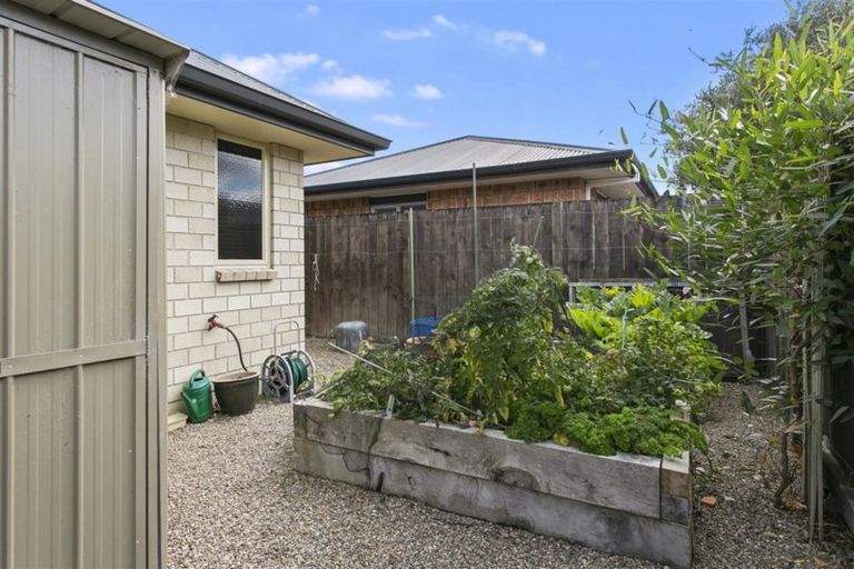 Photo of property in 17 Saffron Street, Cambridge, 3434