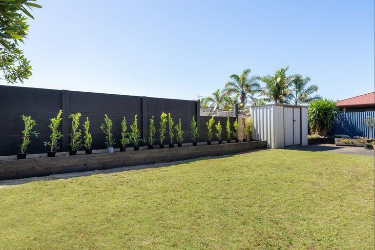 Photo of property in 33a Campbell Road, Mount Maunganui, 3116