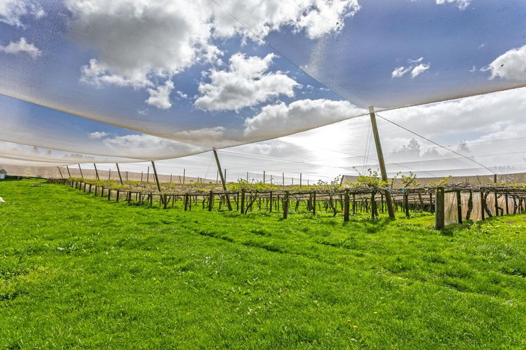 Photo of property in 231 Walford Road, Aongatete, Katikati, 3181
