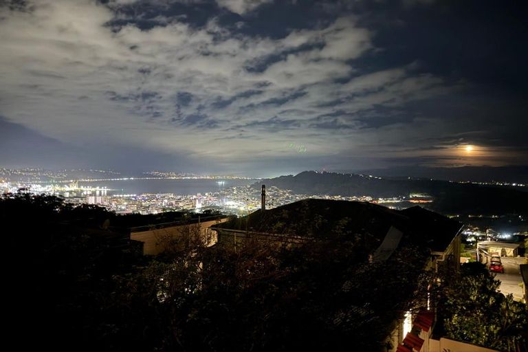 Photo of property in 71 Washington Avenue, Brooklyn, Wellington, 6021