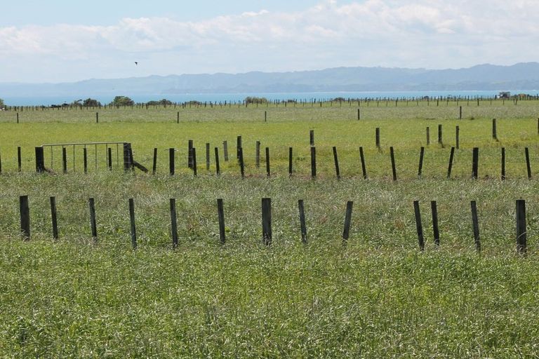 Photo of property in 787 Main North Road, Motunui, Waitara, 4383