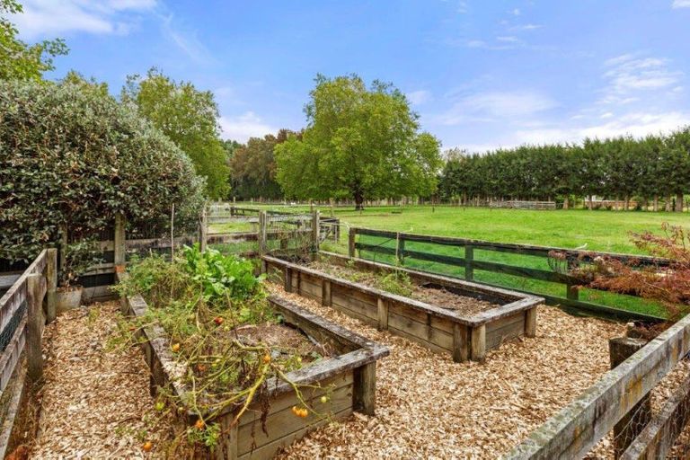 Photo of property in 248a Tauwhare Road, Tamahere, Hamilton, 3283