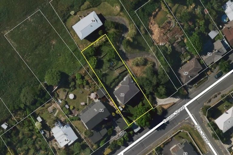 Photo of property in 60 Emano Street, Toi Toi, Nelson, 7010