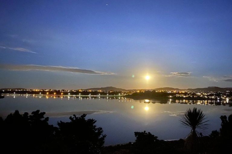 Photo of property in 49 Baycroft Avenue, Parkvale, Tauranga, 3112