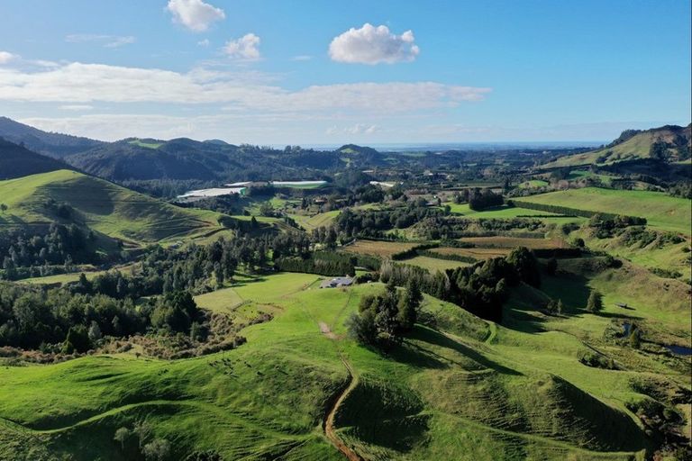 Photo of property in 1394 No 3 Road, Te Puke, 3183