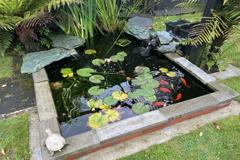 Photo of property in 77 Fenton Mill Road, Kawerau, 3127