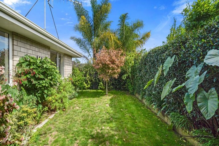 Photo of property in 25c Graham Street, Hamilton East, Hamilton, 3216