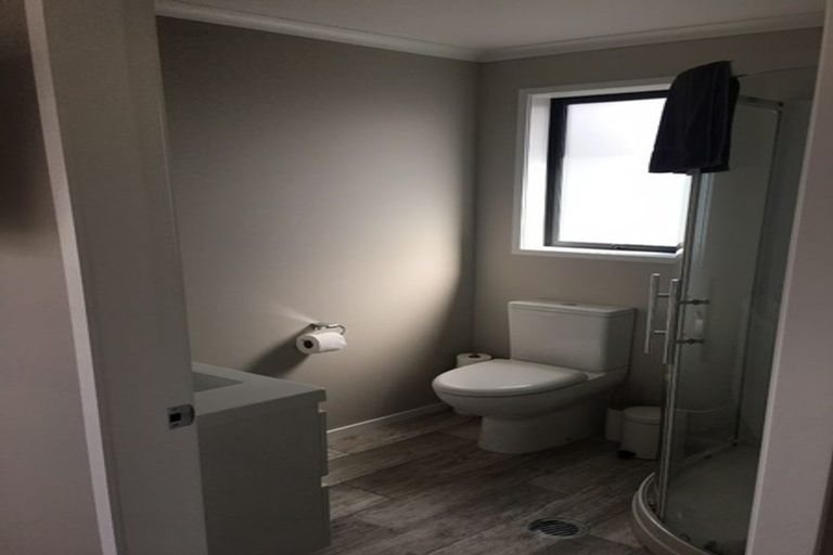 Photo of property in 30u3 Willoughby Street, Whitiora, Hamilton, 3200