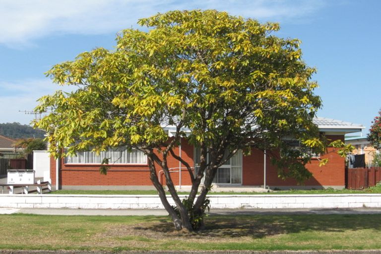 Photo of property in 38unit Grey Street, Glenholme, Rotorua, 3010