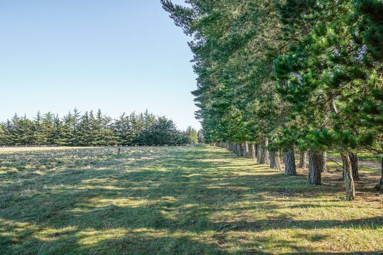 Photo of property in 5a Pesters Road, Eyrewell, Rangiora, 7476