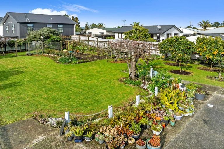 Photo of property in 35 Sherson Street, Gate Pa, Tauranga, 3112