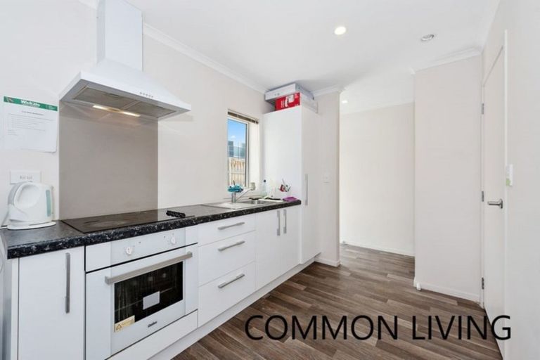 Photo of property in 19u3 Manning Street, Hamilton Central, Hamilton, 3204