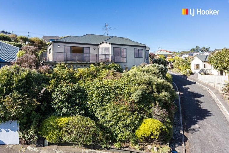 Photo of property in 41 Moodie Street, Shiel Hill, Dunedin, 9013