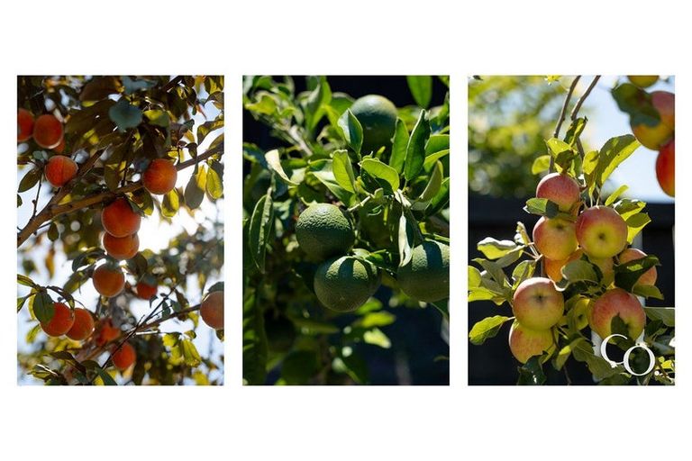 Photo of property in 11c Lowry Road, Te Puke, 3183