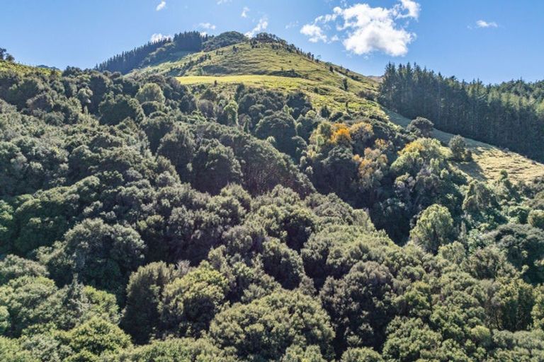 Photo of property in 9 Harmans Track, Little River, 7591