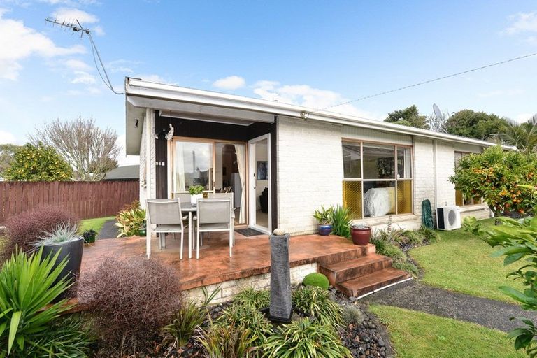 Photo of property in 31a Hobson Street, Maeroa, Hamilton, 3200