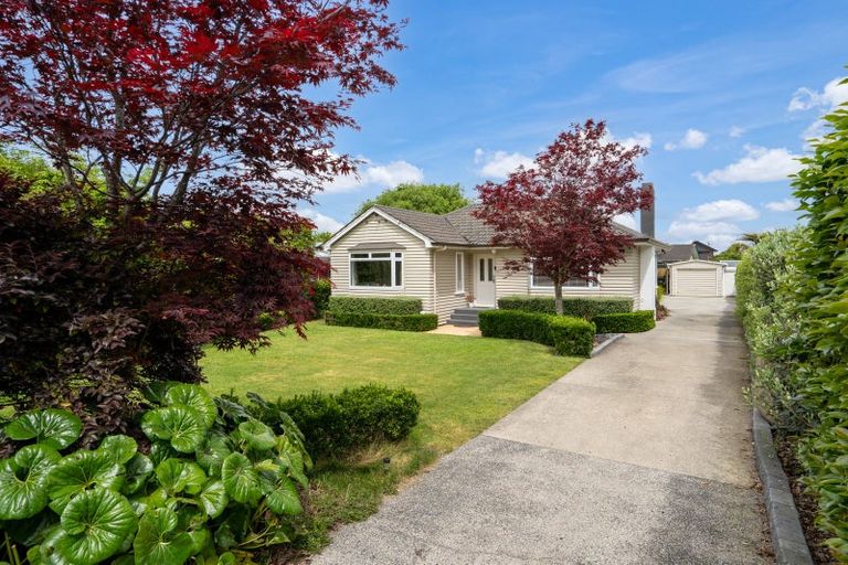 Photo of property in 46 Bowen Street, Cambridge, 3434