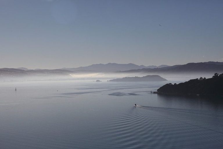 Photo of property in 21 Waipapa Terrace, Hataitai, Wellington, 6021