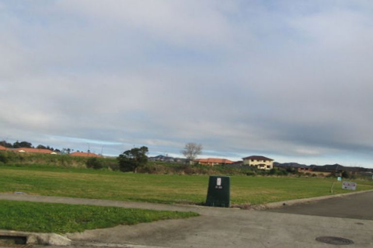 Photo of property in 29 Silkwood Place, Fitzherbert, Palmerston North, 4410