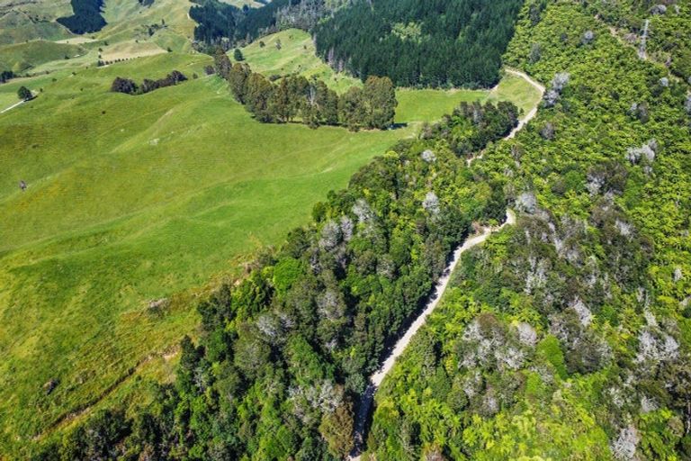Photo of property in 109 Mcivor Road, Rotoma, Whakatane, 3192