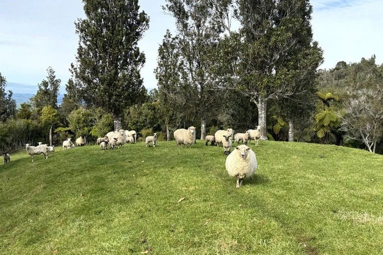 Photo of property in 85 Te Raumauku Road, Otorohanga, 3973