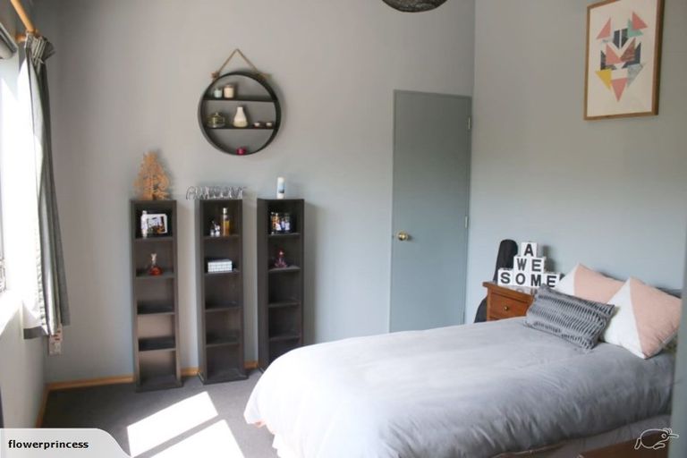 Photo of property in 491 Palmer Mill Road, Wairakei, Taupo, 3384
